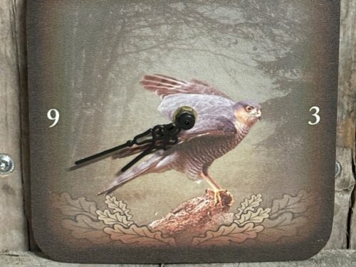 Klok Wildzone Roofvogel