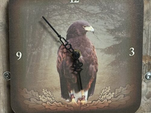 Klok Wildzone Roofvogel