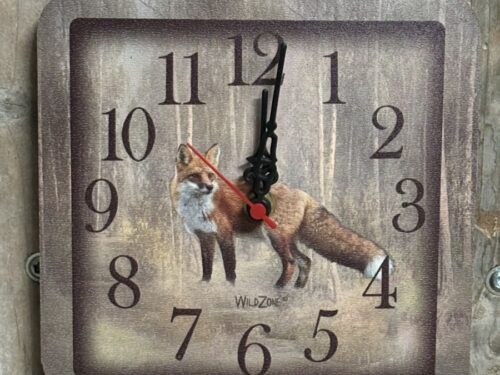 Klok wildzone Vos