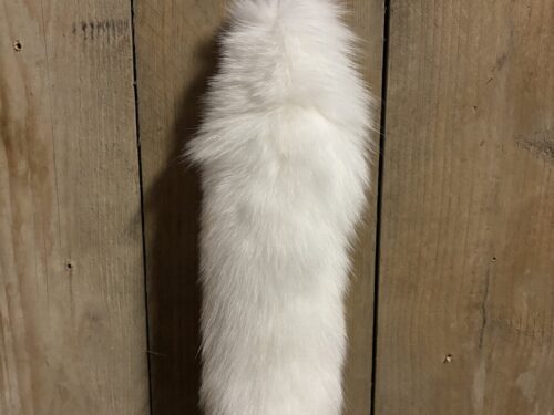 Vossenstaart wit