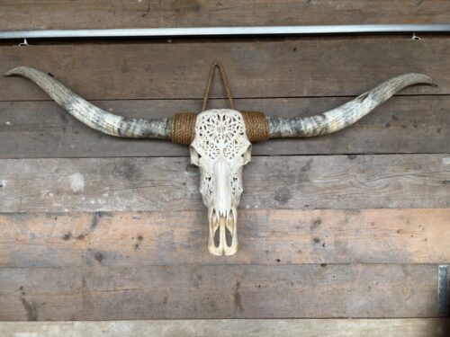 Longhorn schedel gegraveerd