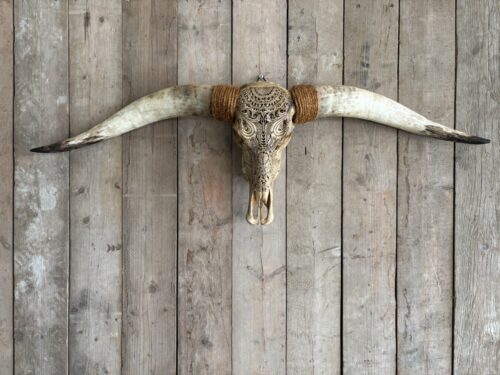 Longhorn schedel gegraveerd