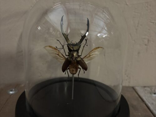 Stolpje met gouden vliegend Hert