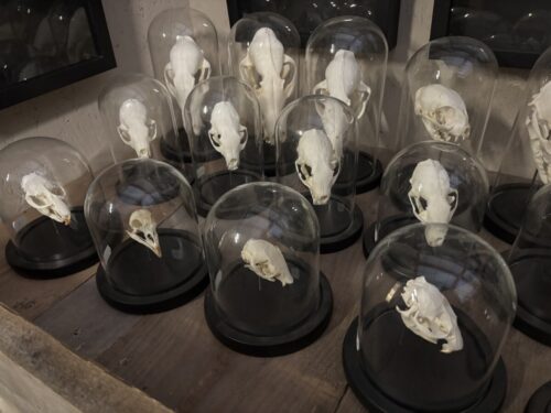 Stolpen met schedels