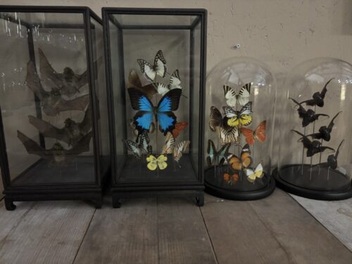 Unieke stolpen & vitrines