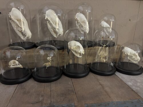 Stolpen met schedels & skeletten