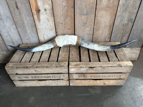 Bullbar