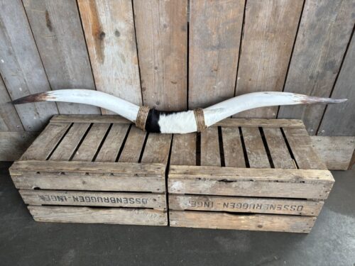 Bullbar