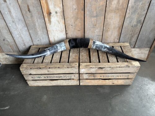 Bullbar